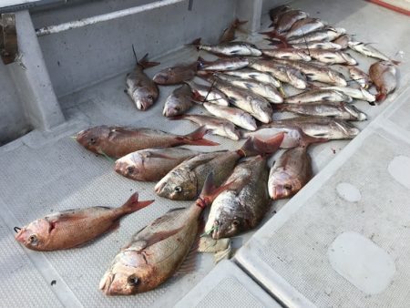 寿裕 （YOSHIHIRO） 釣果