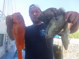 石川丸 釣果