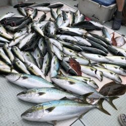 ふじしめ丸 釣果