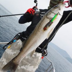 ＢｌｕｅＮｏｔｅ　Ｆｉｓｈｉｎｇ　Ｔａｘｉ 釣果