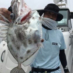 ミタチ丸 釣果