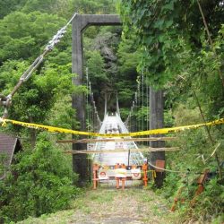 狩野川(狩野川漁業協同組合) 釣果