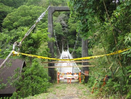 狩野川(狩野川漁業協同組合) 釣果