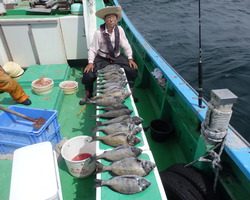 久里浜黒川本家 釣果