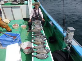 久里浜黒川本家 釣果