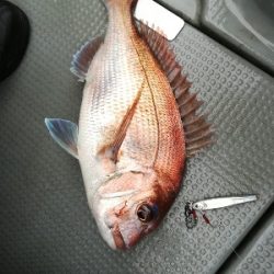 IDATEN（イダテン） 釣果