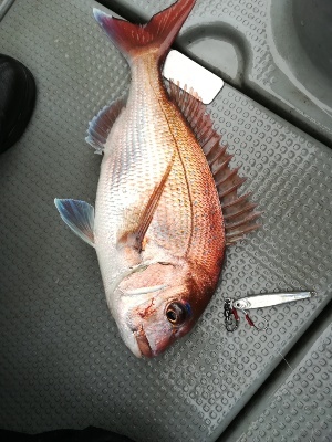 IDATEN（イダテン） 釣果