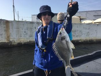 シーマジカル 釣果