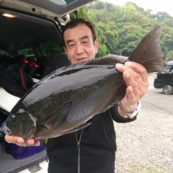 千津丸 釣果