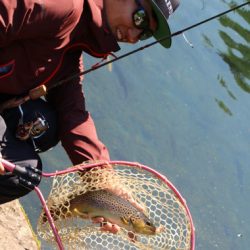 小菅トラウトガーデン 釣果