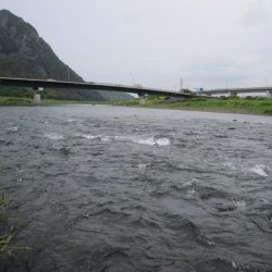 狩野川(狩野川漁業協同組合) 釣果