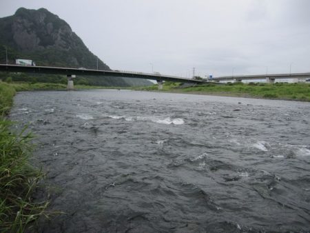 狩野川(狩野川漁業協同組合) 釣果