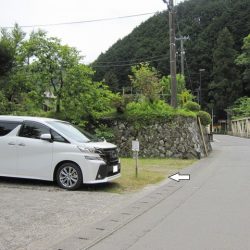 狩野川(狩野川漁業協同組合) 釣果