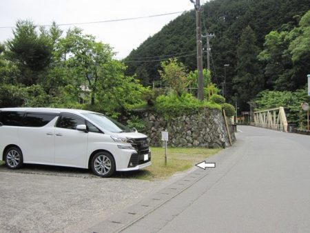 狩野川(狩野川漁業協同組合) 釣果