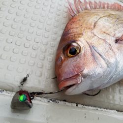 遊漁船 ニライカナイ 釣果