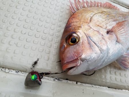 遊漁船 ニライカナイ 釣果