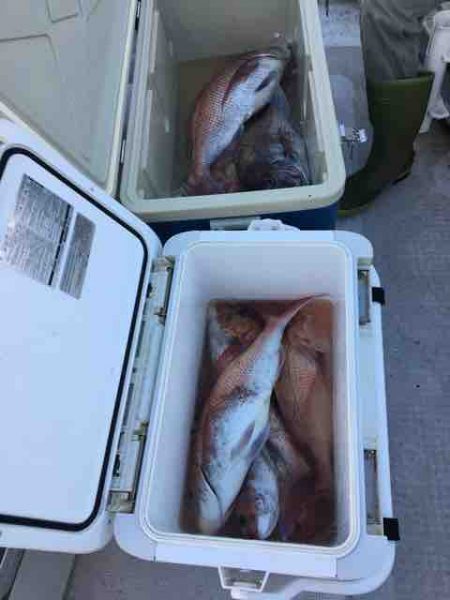龍宮丸 釣果