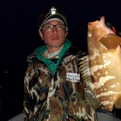 Magic(マジック) 釣果