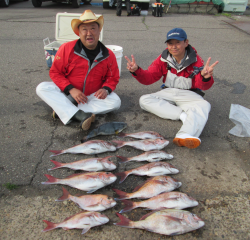 なかくに丸 釣果