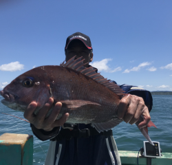 なかくに丸 釣果