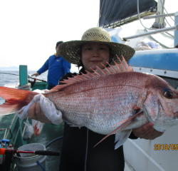 なかくに丸 釣果