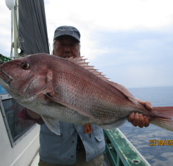なかくに丸 釣果
