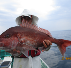 なかくに丸 釣果