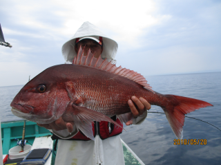 なかくに丸 釣果