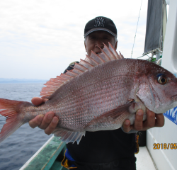 なかくに丸 釣果