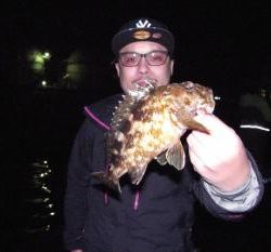 シーマジカル 釣果