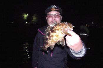 シーマジカル 釣果