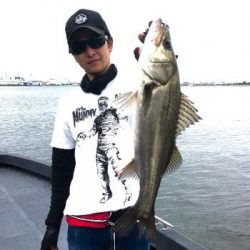 シーマジカル 釣果