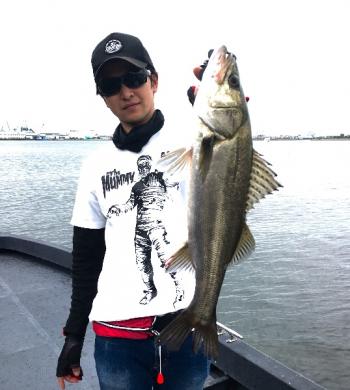 シーマジカル 釣果