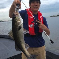 シーマジカル 釣果