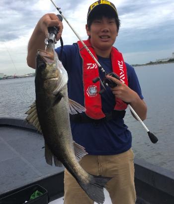 シーマジカル 釣果