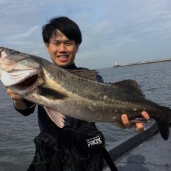 シーマジカル 釣果