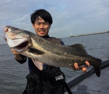 シーマジカル 釣果