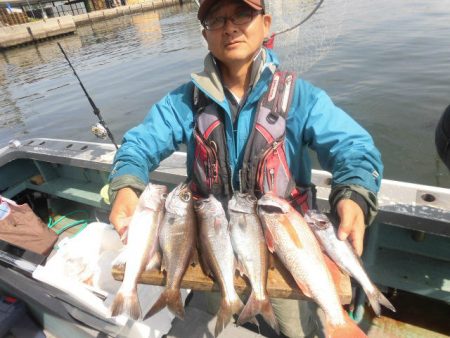 大進丸(愛知) 釣果