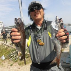 大進丸(愛知) 釣果