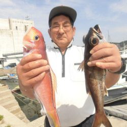 大進丸(愛知) 釣果