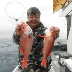 大進丸（愛知） 釣果