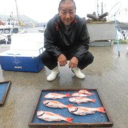 大進丸（愛知） 釣果