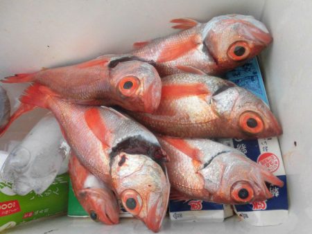 大進丸（愛知） 釣果