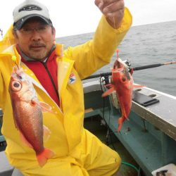 大進丸（愛知） 釣果