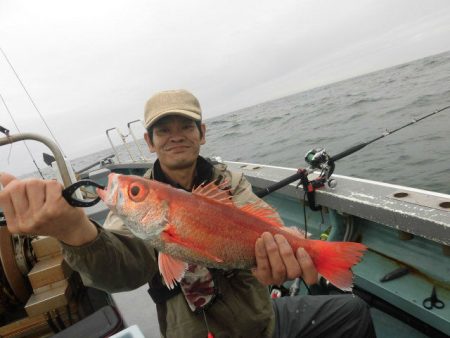 大進丸（愛知） 釣果