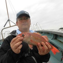 大進丸(愛知) 釣果