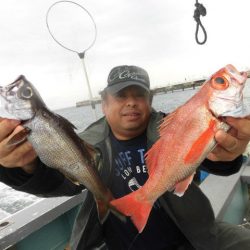 大進丸(愛知) 釣果