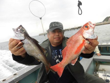 大進丸（愛知） 釣果