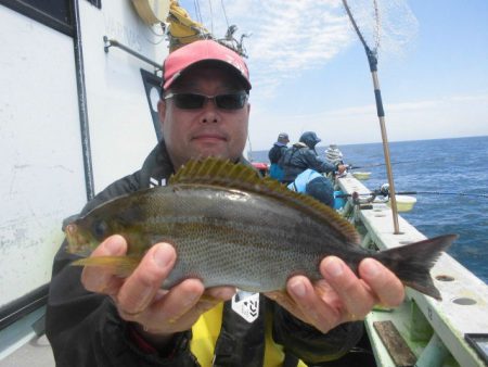 大進丸（愛知） 釣果