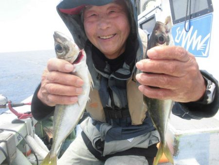 大進丸（愛知） 釣果